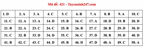 Đáp án đề thi tiếng Anh THPT Quốc Gia 2022 Full mã đề